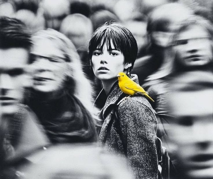 Mentale Gesundheit: Einfluss auf unser tägliches Leben