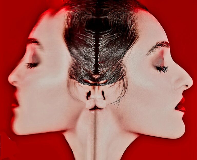 Masse und Meinung „Das Gesetz der Nachahmung“